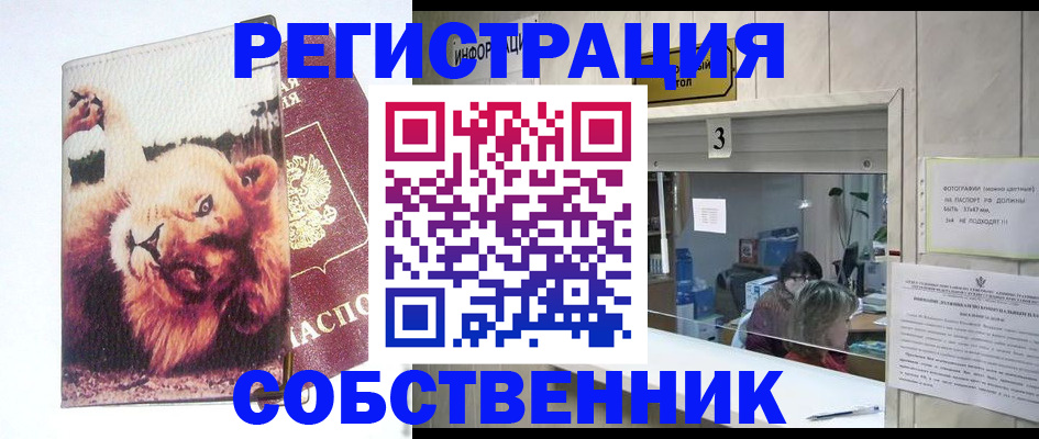 прописка поиск в Шадринске